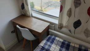 Lovely Modern Single Room